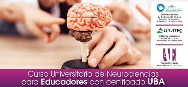 Curso de Neurociencias y Educación